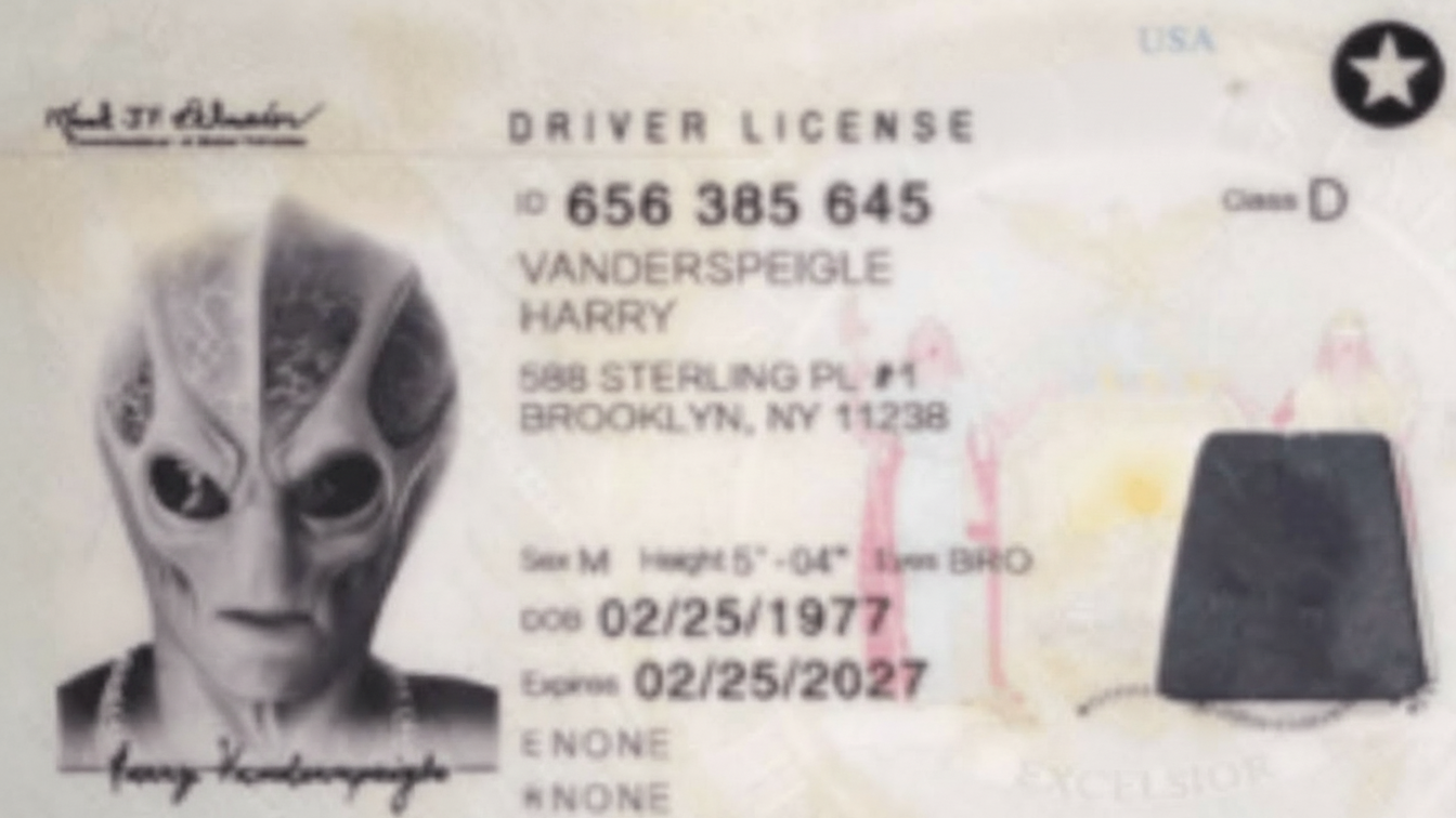 United States Fake ID